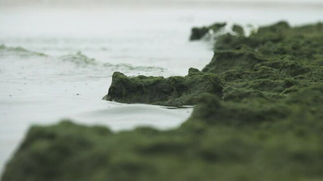 Play of the waves. Small waves measured beat, play in small bays with a splash, like on a musical instrument