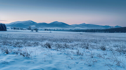 snow covered mountains