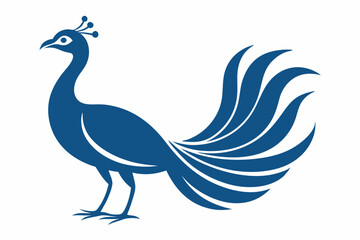 illustration of a peacock with feathers on a white background