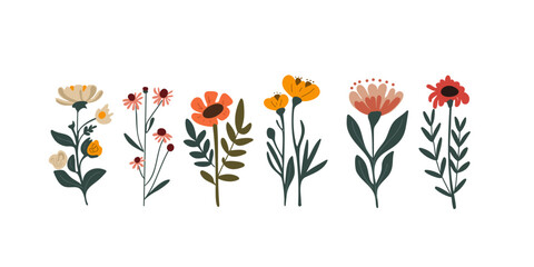 Set of beautiful delicate wildflowers on a white background