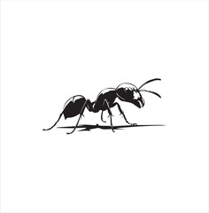 ant, insect, macro, nature, animal, bug, black, closeup, ants, isolated, small, antenna, spider, leaf, formica, leg, white, close-up, close up, jaw, garden, red, fauna