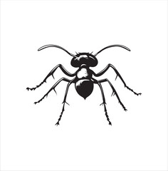 ant, insect, macro, nature, animal, bug, black, closeup, ants, isolated, small, antenna, spider, leaf, formica, leg, white, close-up, close up, jaw, garden, red, fauna