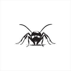 ant, insect, macro, nature, animal, bug, black, closeup, ants, isolated, small, antenna, spider, leaf, formica, leg, white, close-up, close up, jaw, garden, red, fauna