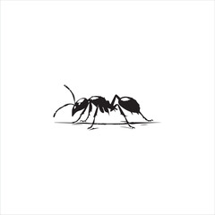 ant, insect, macro, nature, animal, bug, black, closeup, ants, isolated, small, antenna, spider, leaf, formica, leg, white, close-up, close up, jaw, garden, red, fauna