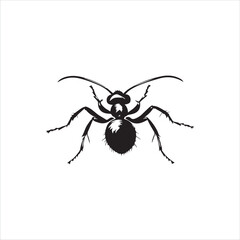 ant, insect, macro, nature, animal, bug, black, closeup, ants, isolated, small, antenna, spider, leaf, formica, leg, white, close-up, close up, jaw, garden, red, fauna