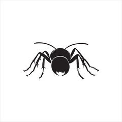 ant isolated on white background
