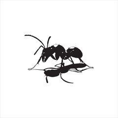 ant isolated on white background