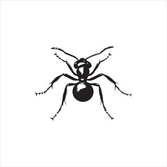ant isolated on white background