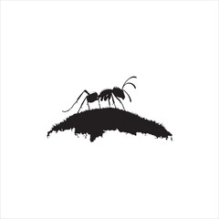 ant isolated on white background