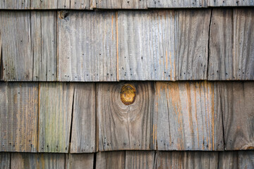 Close-up of weathered timber texture
