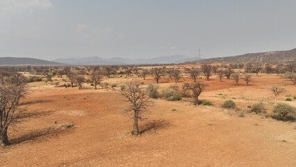 landscape of the Serengeti national park 