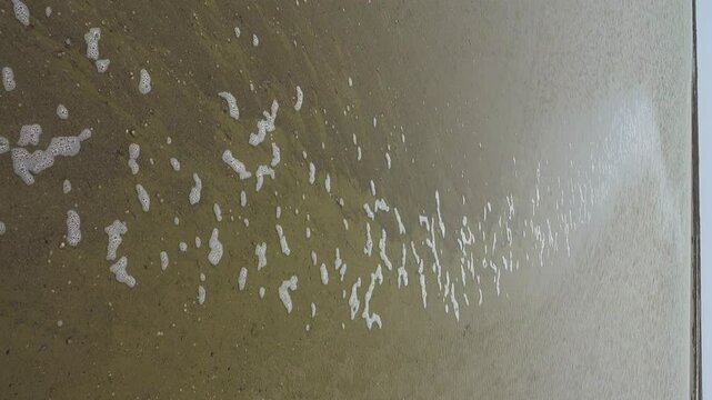 Foaming. Foam is formed by the wind and wind tide in the shallow waters of a salt lake in the form of a plume