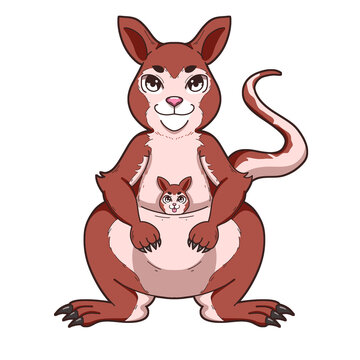Kangaroo Cartoon Illustration