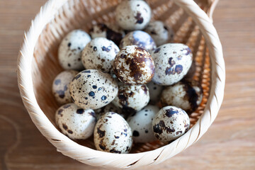 Fototapeta premium うずらの卵