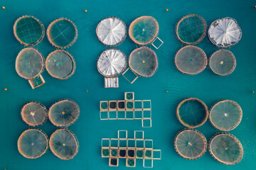 Drone top view of floating circular fish farms on the sea of Greece