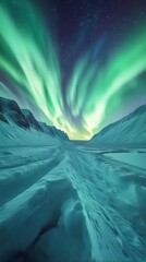 A breathtaking view of the Northern Lights dancing above Svalbard's snowy landscapes, creating an enchanting and mystical atmosphere in Norway's remote wilderness
