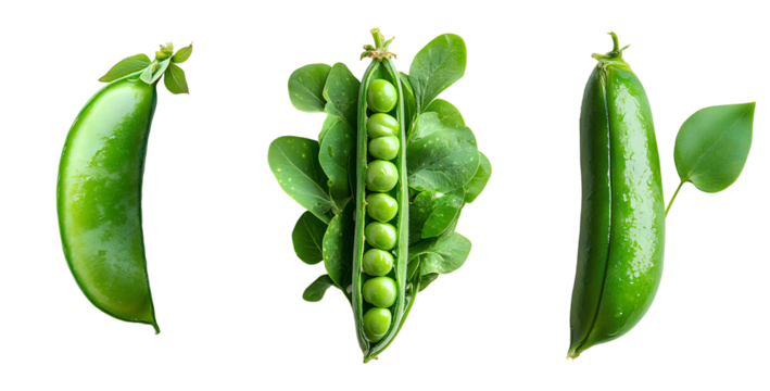 Green peas set top view PNG, flat lay design, isolated on transparent background. Fresh green peas, arranged naturally, showcasing vibrant color and texture PNG