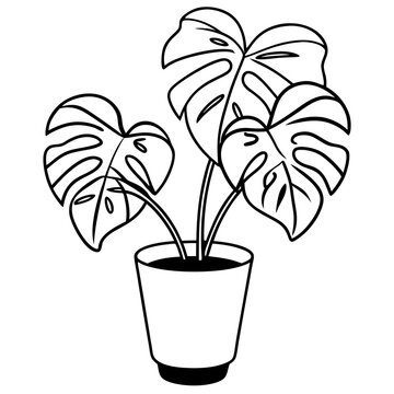 recommend clip art: potted plant monstera outline coloring book page line art drawing