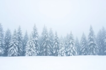 Fototapeta premium Mysterious winter forest with snow-laden evergreen trees and foggy atmosphere