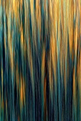 Obraz premium Abstract Pattern of Intertwined Lines in Shades of Blue, Green, and Yellow