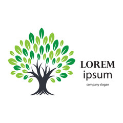 Obraz premium shade tree conservation logo design