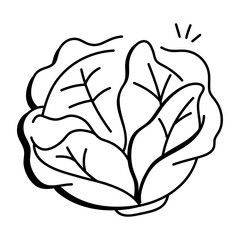 A doodle icon of fresh cabbage 

