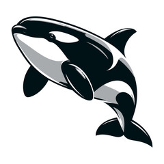 Orca vector and illustration.