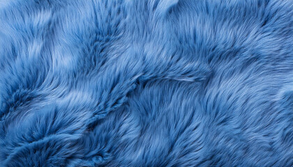 Obraz premium Blue fur texture top view. Blue sheepskin background