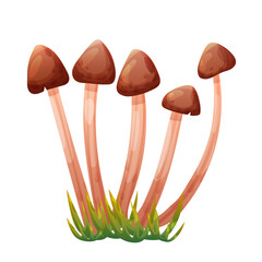 Edible honey mushrooms in green grass on transparent background
