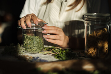 Woman closes a jar of dried mint. Work with herbs. Close-up