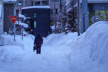 雪が積み上げられた冬の市街地 北海道札幌市