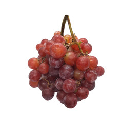 bunch of red grapes