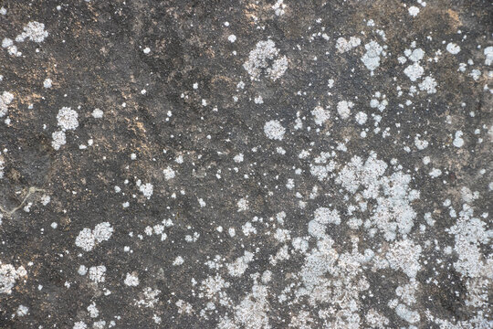 Gray brown grunge Abstract stone background texture of the stone wall Close-up, Light gray rock backdrop backdrop banner