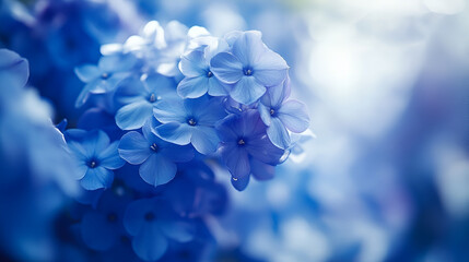 Delicate blue flowers bloom softly in a serene garden during early morning light, showcasing nature's tranquil beauty