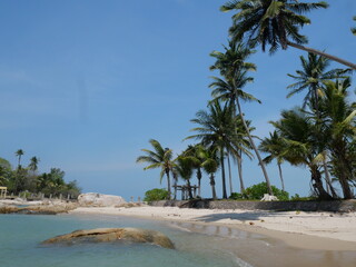 Obraz premium The beach is a breathtaking sight, with soft, powdery white sand stretching as far as the eye can see. The water is a mesmerizing shade of clear blue, sparkling under the bright sun, inviting you to