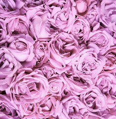 Natural background of rose petals