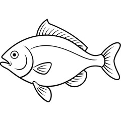 fish isolated on white