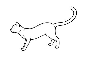 illustration of a cat