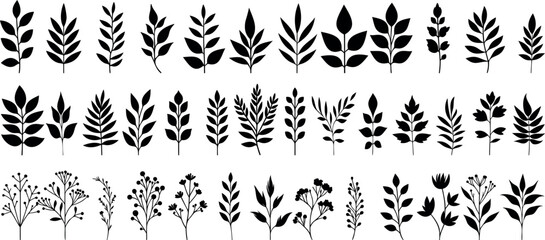 Leaf silhouette set, floral designs, botanical vector elements, herbs, branches, natural leaves, and plant illustrations for decorations, patterns, or graphic designs