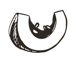 Vector sketch of pumpkin piece in engraving style. Hand drawn autumn vegetable. Vintage thanksgiving design element. Linear ink drawing.