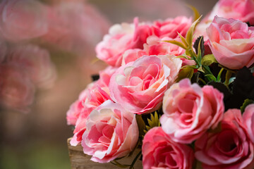 Beautiful Pink Roses in Wooden Box