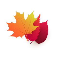 Three Various Red, Brown and Golden Autumn Fallen Tree Leaves on White Background - Colorful Design Template in Editable Vector Format