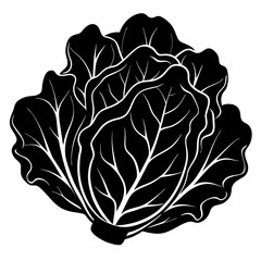 vector of a cabbage