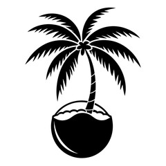 coconut palm tree