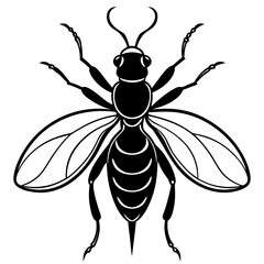 bee illustration