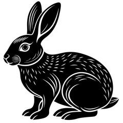 black and white rabbit