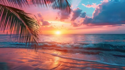 Bright sunrise over the Red Sea, Egypt. Palm trees stand out against the colorful sky.