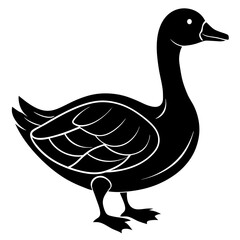 goose isolated on white background