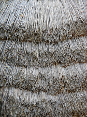 Fragment of an ancient thatched roof. Roofing of a building made of natural material. Texture