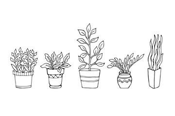 black and white illustration of a set of houseplants in a cartoon style, hand drawn.